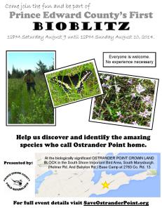 BioBlitz poster FINAL low colour-page-001