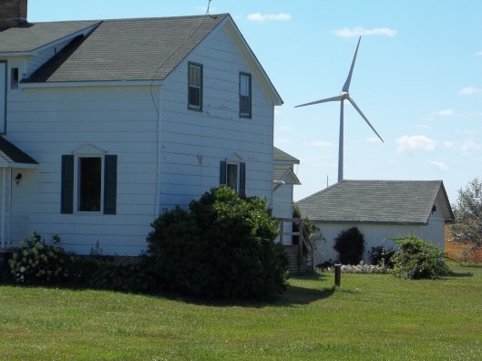 Nobody home? Health Canada didn't bother to ask why